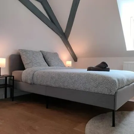Le Charme Du Bois-25min Strasbourg Centre-wifi-tv Apartment *