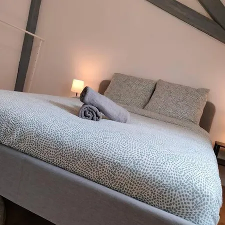 Apartament 25 Min Christmas Market And Strasbourg Center-wifi-tv