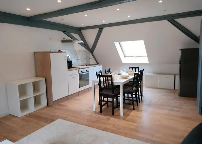 25 Min Christmas Market And Strasbourg Center-wifi-tv Wasselonne